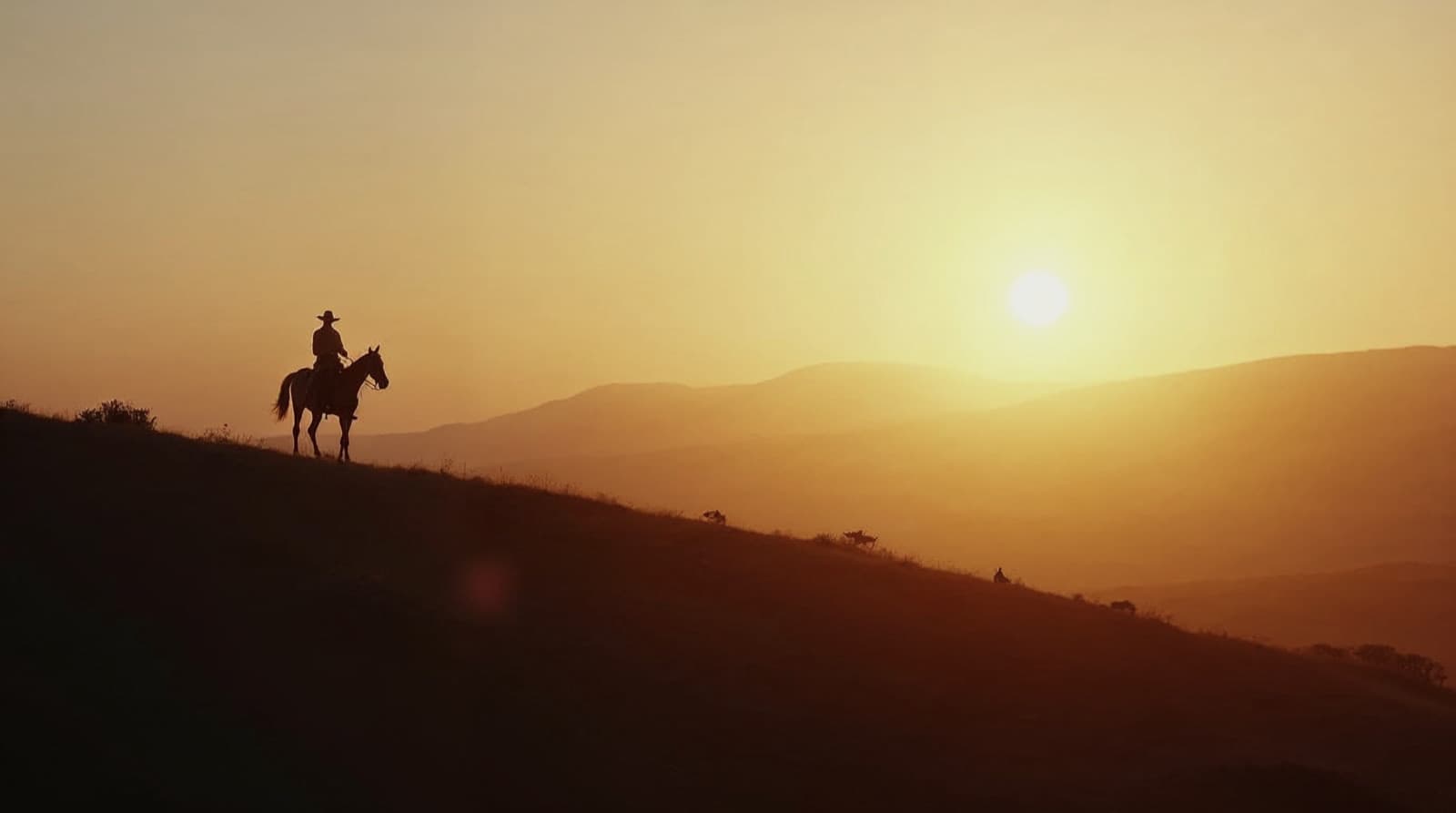 Western vista at golden hour